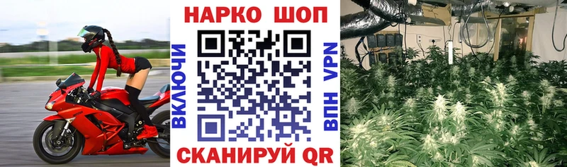 Купить закладку Бошки Шишки ТГК ГАШИШ Мефедрон Кировск