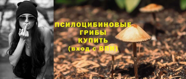 альфа пвп Краснотурьинск