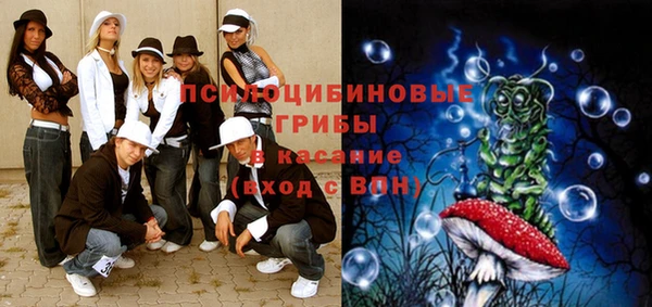 apvp Краснослободск