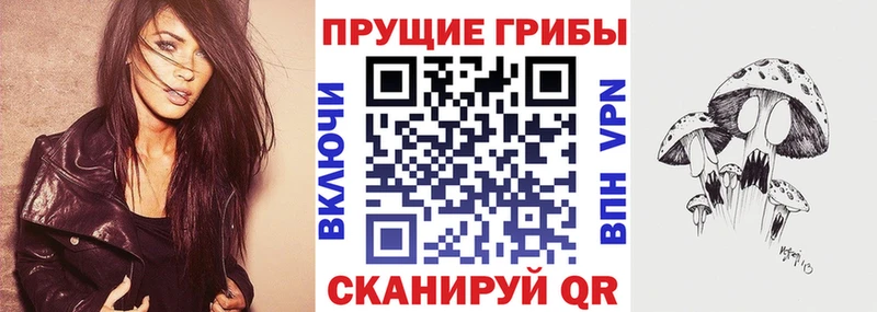 Псилоцибиновые грибы Cubensis  Купить где  Кировск 