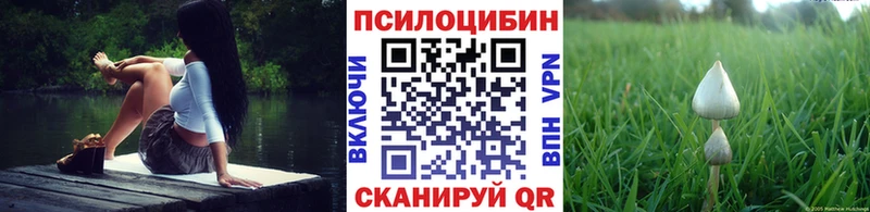 Псилоцибиновые грибы Magic Shrooms Кировск